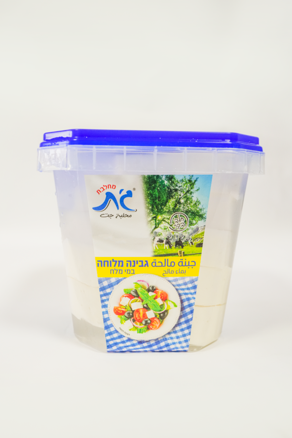 גבינה מלוחה 400 גר' במי מלח