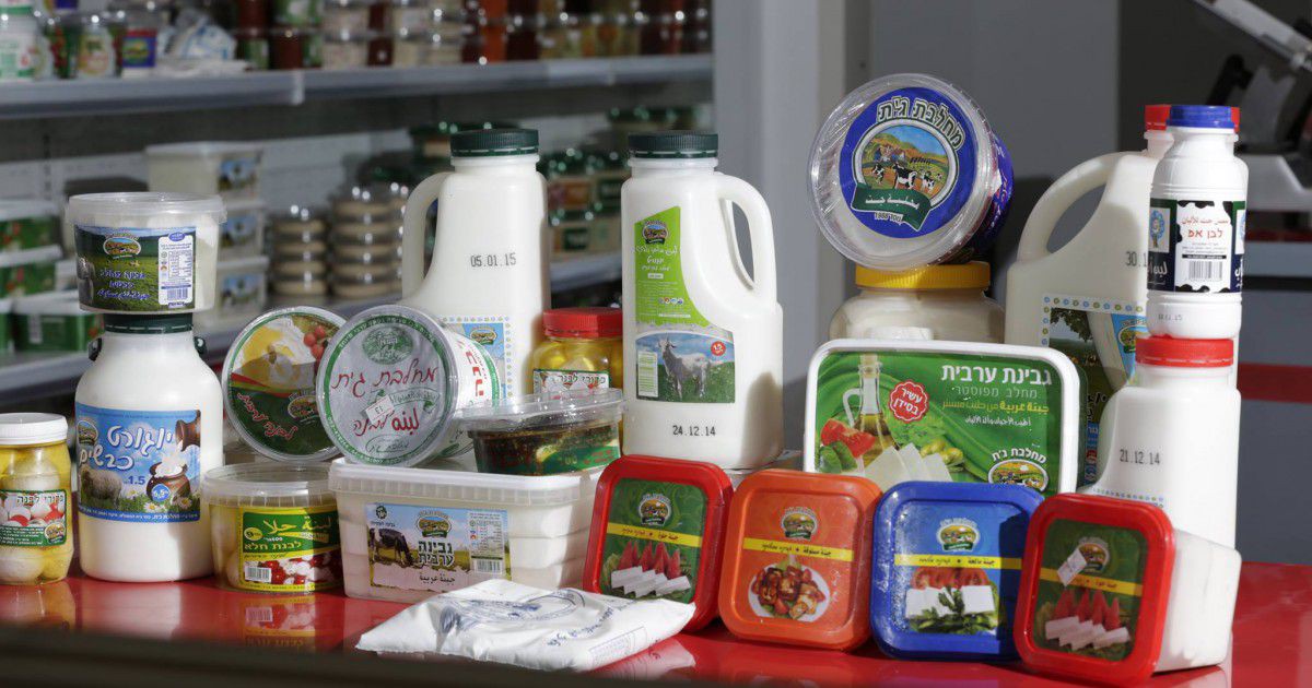 מפעל יצור גבינות יוגורטים לבנה ועוד