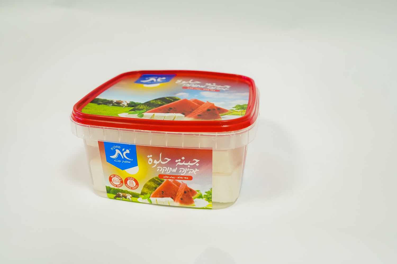 גבינה מתוקה במי מלח 300 גרם